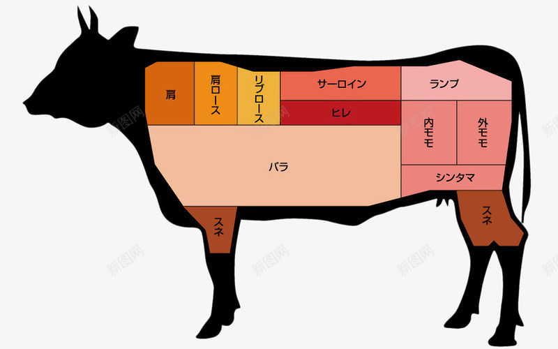 日语版牛部位名称png免抠素材_88icon https://88icon.com 日语 身体结构 部位名称 黄牛