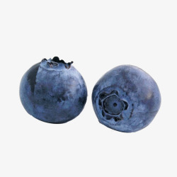 两个蓝莓素材