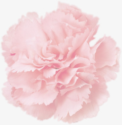 粉色温馨花朵美景装饰素材