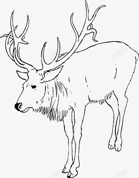 可爱的圣诞节麋鹿手绘png免抠素材_88icon https://88icon.com 动物 圣诞节 自然 节日 鹿