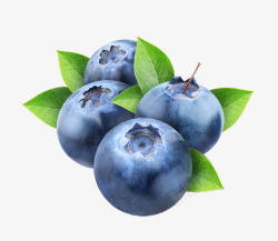 蓝莓营养水果素材
