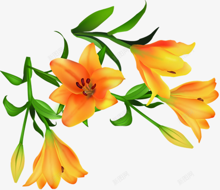 黄色温馨卡通花朵植物png免抠素材_88icon https://88icon.com 卡通 植物 温馨 花朵 黄色