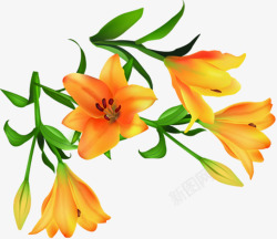 黄色温馨卡通花朵植物素材