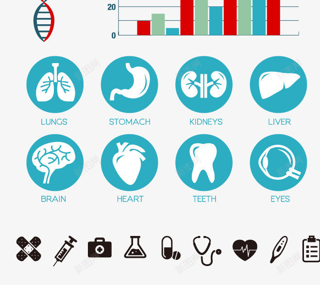 人物信息分析图表png免抠素材_88icon https://88icon.com 3D信息图表 人物信息 医疗主题 立体信息图 身体健康检查 身体分析