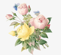 浪漫温馨手绘花朵植物素材