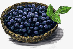 手绘一篮筐蓝莓果素材