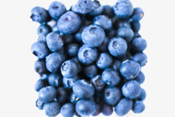 实物野生蓝莓素材