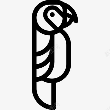 海龟的动物王国金刚鹦鹉图标图标