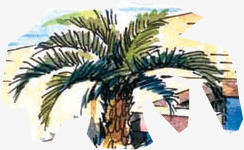 手绘卡通椰树植物素材