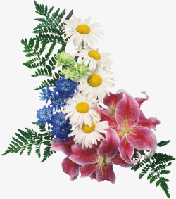 花卉ps素材ps花卉花卉图案高清图片