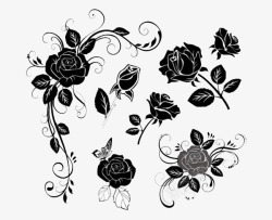 黑色玫瑰花装饰图素材
