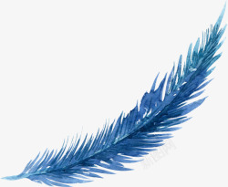 蓝色弯曲的羽毛素材