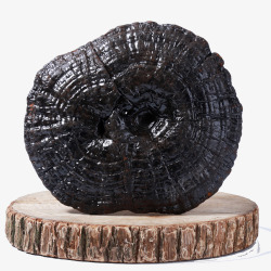 立着的灵芝素材