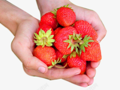 手里的草莓采摘图标图标