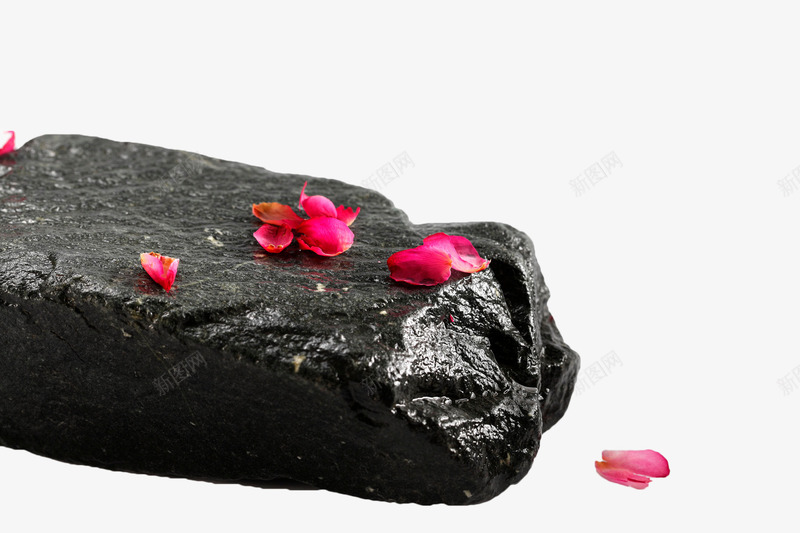 黑色石头上的花卉png免抠素材_88icon https://88icon.com 唯美 地上的花瓣 植物 粉色花瓣 花卉 花瓣 落地的花瓣 落花 黑色石