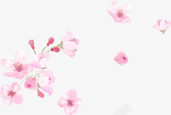 粉色淡雅唯美花朵花瓣素材
