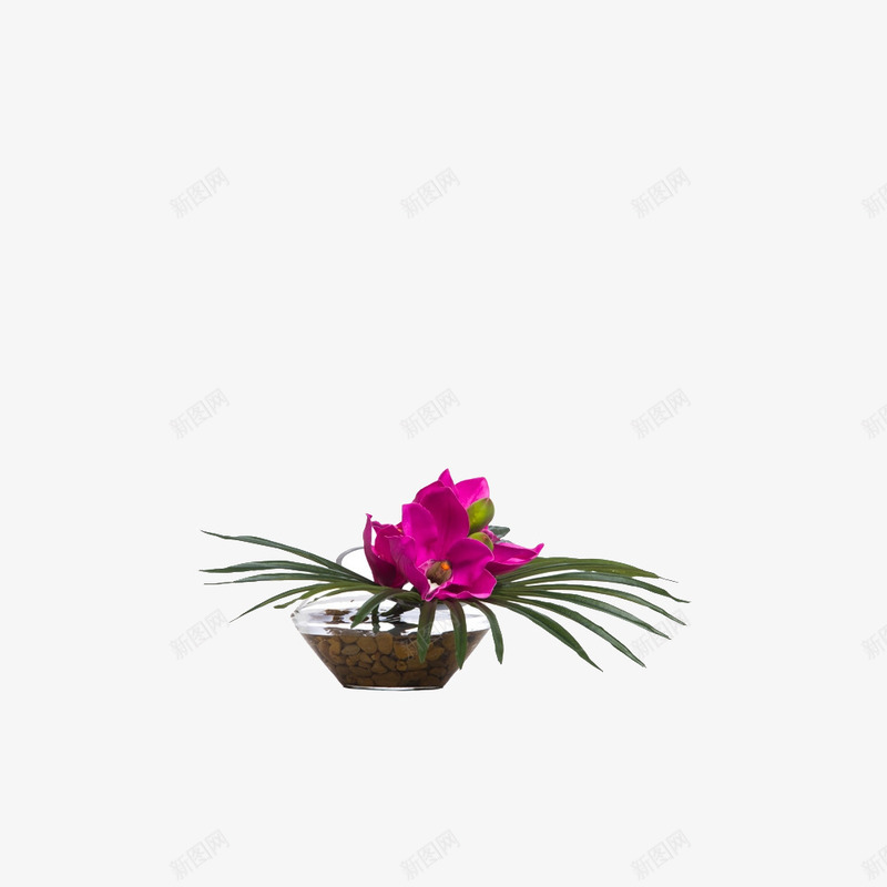 欧美流行插花绿植物鲜花软装png免抠素材_88icon https://88icon.com 大气 概念方案装饰 欧美流行插花 欧美软装设计方案素材 玻璃瓶 精美 精致 绿植物 美化艺术 艺术插花 花艺艺术免费下载 软装 软装设计 软装配饰 高品质 高精度 高质量 鲜花软装配饰