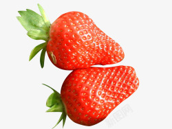 两个红草莓采摘素材