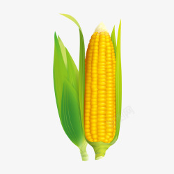 卡通清新玉米农作物素材