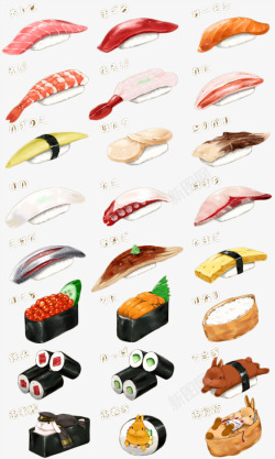 手绘各式日本美食素材