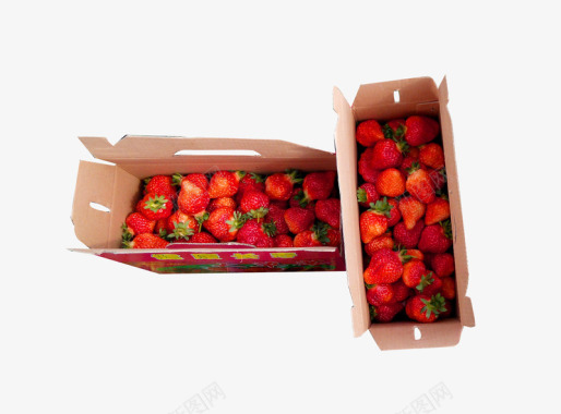 两箱草莓采摘图标图标