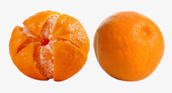 耙耙柑柑橘素材