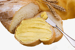 黄油奶酪营养早餐之奶酪高清图片