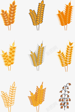 稻壳金色麦穗麦子形矢量图高清图片