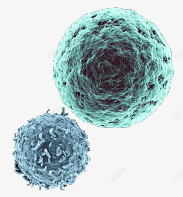 彩色生物医学细胞图形png免抠素材_88icon https://88icon.com 健康 医学细胞 生物 癌细胞 研究 细胞