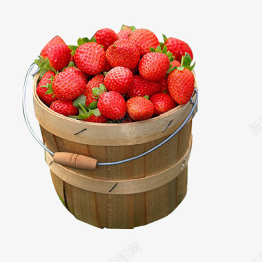 葡萄采摘园一桶草莓采摘图标图标