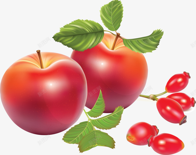 3D手绘食物苹果png免抠素材_88icon https://88icon.com 3d 卡通水果 卡通水果图片 手绘 水果 水果剪影 水果矢量图 苹果 食物 食物图片