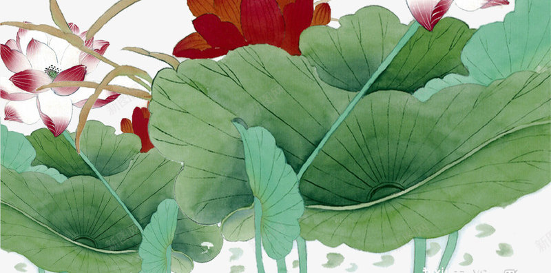 清新唯美手绘荷花背景psd免抠素材_88icon https://88icon.com 唯美 夏季 夏至 手绘 池塘 清新 背景 花朵 荷花