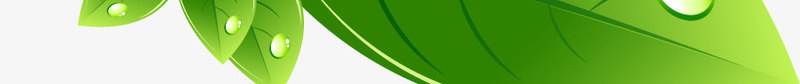 绿叶鲜花展架模板png_88icon https://88icon.com X展架设计 x展架 叶子 展架 树叶 海报素材 炫彩展架 绿色