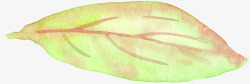 手绘绿叶装饰元素素材