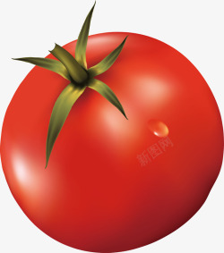 新鲜蔬菜之西红柿素材