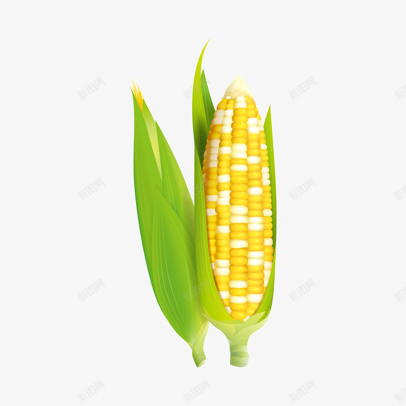 卡通清新玉米农作物png免抠素材_88icon https://88icon.com 农作物 卡通 清新 玉米