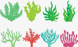 绿色海草海带营养植物矢量图素材