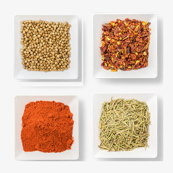 四种调料素材