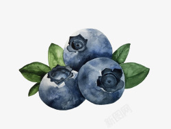 手绘卡通水果蓝莓素材