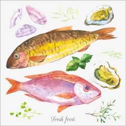 鱼类海鲜食物素材