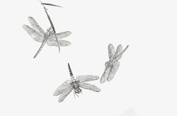 手绘昆虫蜻蜓效果图素材