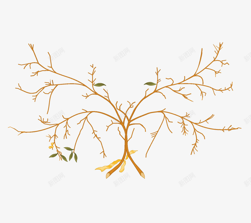 树枝对称图形png免抠素材_88icon https://88icon.com 树叶 树杈 树枝 植物 黄色
