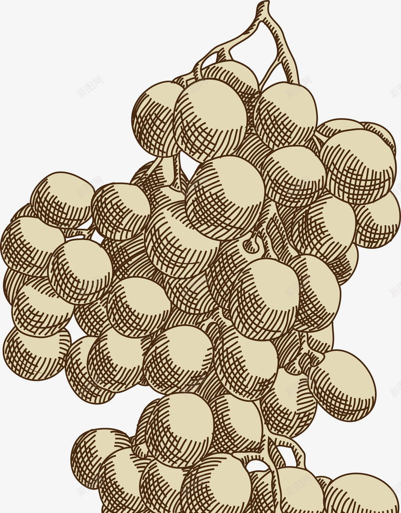 手绘速写一串葡萄元素矢量图ai免抠素材_88icon https://88icon.com 一串葡萄 复古 手绘 欧式 欧式复古 素描 素描风格 绘画 美术复古插画 葡萄 设计 矢量图