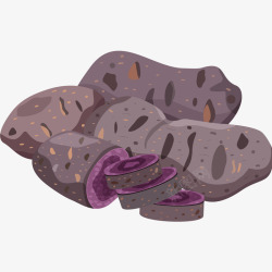 新鲜紫薯粉新鲜紫薯插画矢量图高清图片