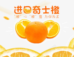 奇士橙banner素材