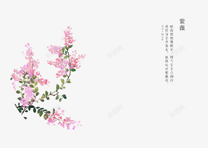 唯美手绘鲜花png免抠素材_88icon https://88icon.com 卡通 手绘 手绘插画 插画 紫薇