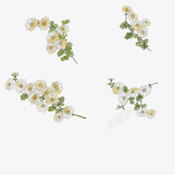 素雅植物花朵图案素材