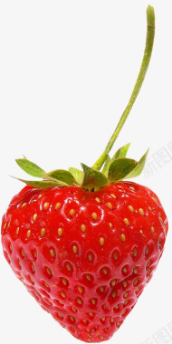 水果手绘3d水果图标图标