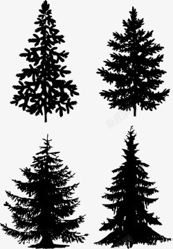 耐寒植物黑色松树矢量图高清图片