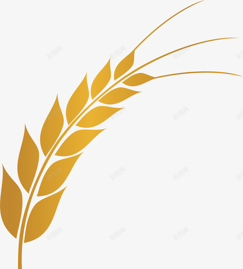 小麦黄色食物矢量图ai免抠素材_88icon https://88icon.com 卡通手绘 小麦 植物 绘画 金黄色 食物 矢量图